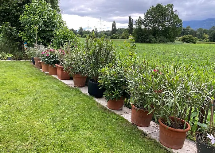 Luxus-Anwesen mit Charme - ganzes Haus mit Garten